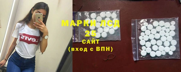 гашик Белокуриха