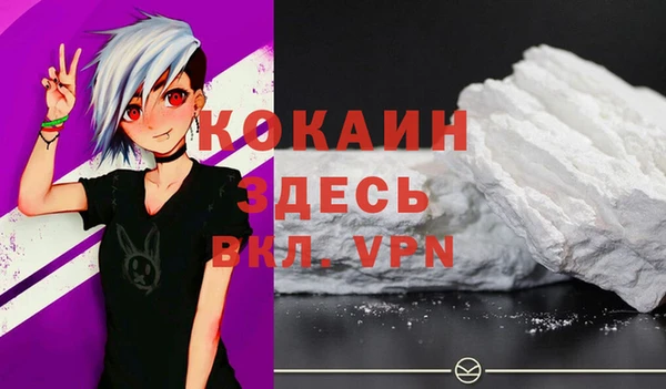 гашик Белокуриха