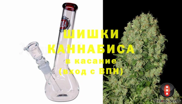 гашик Белокуриха