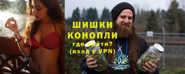 гашик Белокуриха
