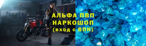 гашик Белокуриха