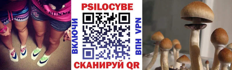 Псилоцибиновые грибы прущие грибы  купить  сайты  MEGA ССЫЛКА  Гороховец 
